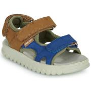 Sandalen Shoo Pom ROLLY BOY SCRATCH