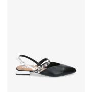 Ballerina's Gioseppo CRATO
