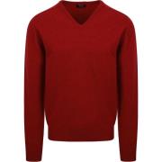 Sweater William Lockie Pullover Lamswol V Poppy