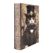 Manden en dozen Signes Grimalt Kattenboekendoos