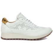 Sneakers Kangaroos 37839