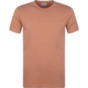 T-shirt Colorful Standard Organisch T-shirt Bruin
