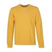 Sweater Colorful Standard Sweater Geel