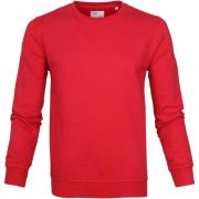 Sweater Colorful Standard Sweater Scarlet Red