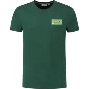 T-shirt Shiwi T-Shirt Sardines Cilantro Green