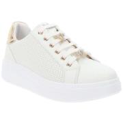 Sneakers Valleverde VV35102