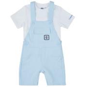 Setjes Timberland T60399