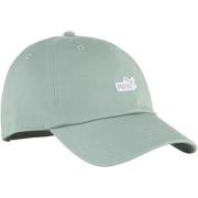 Pet Puma 253852