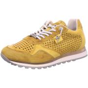 Nette Schoenen Cetti -