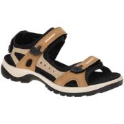 Fitness Schoenen Ecco -