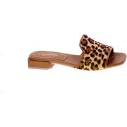 Sandalen Lorenzo Mari 251145