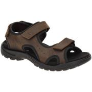 Fitness Schoenen Ecco -