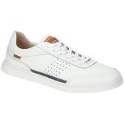 Sneakers Pikolinos -