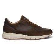 Sneakers NeroGiardini NERO GIARDINI 339 AROLD VELO MALTO