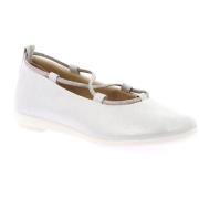 Ballerina's Grunland DSG-SC5161