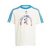 T-shirt Korte Mouw adidas iq4800