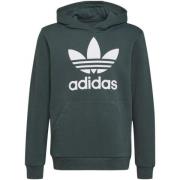 Sweater adidas h0270_trafoil_hoodie_verde