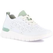 Lage Sneakers Grunland DSG-SC0196