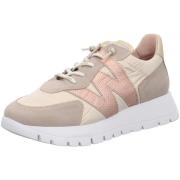 Nette Schoenen Wonders -