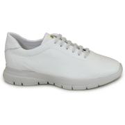 Lage Sneakers Frau FRA-E25-43P3-OW