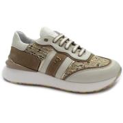 Lage Sneakers Ferre FER-E25-F100-AV