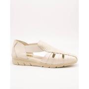 Nette Schoenen 24 Hrs -