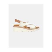 Sandalen Pikolinos GOMERA W0K 0606C1