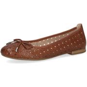 Ballerina's Caprice -