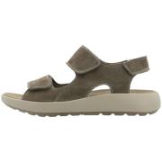 Wandelschoenen Ara -