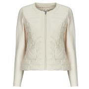 Donsjas JOTT ALMERIA