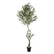 Kunstplanten Signes Grimalt Olijfboom L