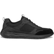 Sneakers Geox Baskets Portello