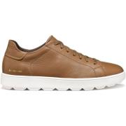 Sneakers Geox Baskets Spherica ECUB-1