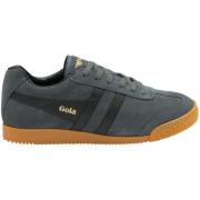Sneakers Gola Baskets en daim femme Harrier
