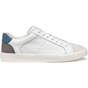 Sneakers Geox Baskets Affile A