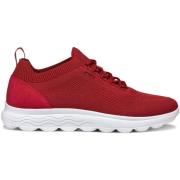 Sneakers Geox Baskets Spherica A