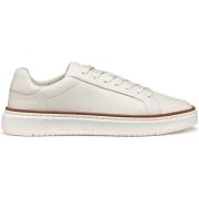Sneakers Geox Baskets Zackerty A
