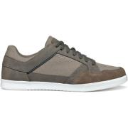 Sneakers Geox Baskets Walee B