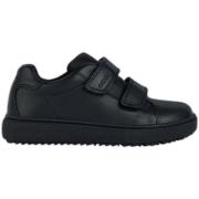 Sneakers Geox Baskets fille Theleven