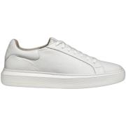 Sneakers Geox Baskets Deiven