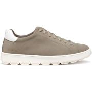 Sneakers Geox Baskets en cuir suede Spherica ECUB-1