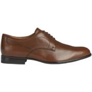 Sneakers Geox Chaussures habillées Iacopo