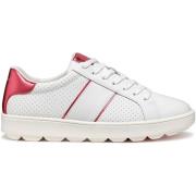 Sneakers Geox Baskets femme Spherica Ecub-1 A