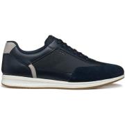 Sneakers Geox Baskets Avery C