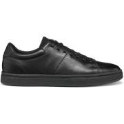 Sneakers Geox Baskets Baltmoore C