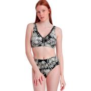 Bikini Admas 2-delige set bikinibh met hoge taille Black Leaves