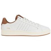 Sneakers K-Swiss Baskets femme Lozan Klub LTH