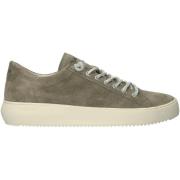 Sneakers Blackstone Baskets Morgan Low