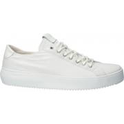 Sneakers Blackstone Baskets ZG30