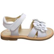 Sandalen Balocchi PONZA